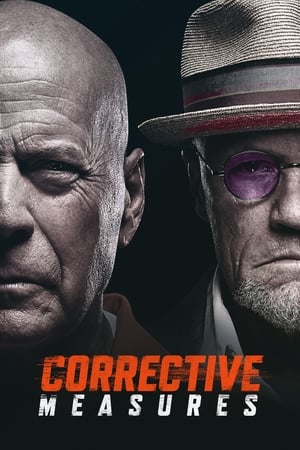 Corrective Measures 2022 Dual Audio HDRip | Dubbed Hindi Movie – 480p