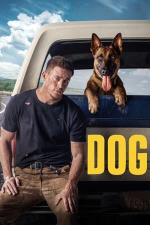 Dog (2022) Dual Audio HDRip | Dubbed Hindi Movie – 480p