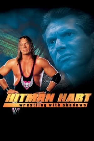Hitman (1998) Dual Audio | Dubbed Hindi Movie UnCut HDRip [1.1GB]