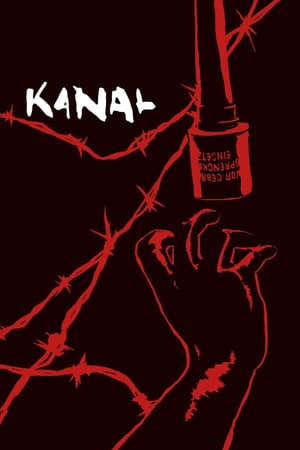 Kanal 2015 Dual Audio | Dubbed Hindi Movie UnCut HDRip [1.3GB]