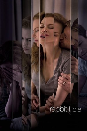 Rabbit Hole (2010) Dual Audio | Dubbed Hindi Movie BluRay 300MB